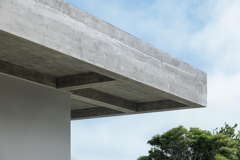 Underside of cantilevered concrete slab with exposed formwork pattern and cross beams framing trees beyond