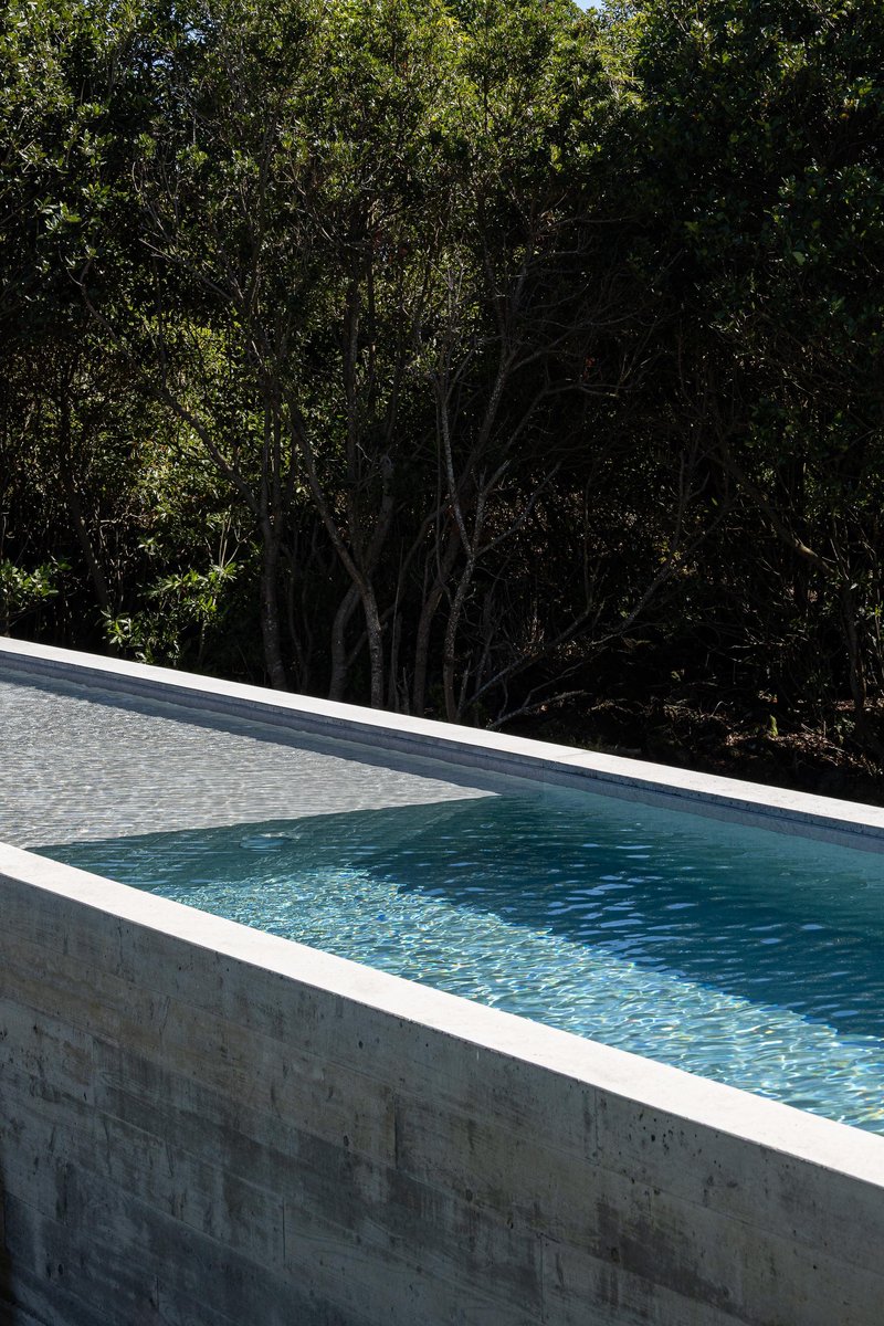 Elevated concrete pool edge with board-formed walls overlooking dense forest canopy