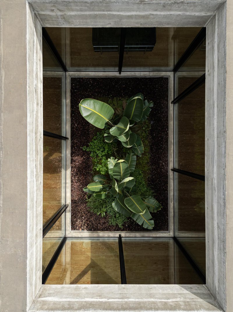 Top-down view into a courtyard with banana plants and grasses in dark soil framed by concrete beams