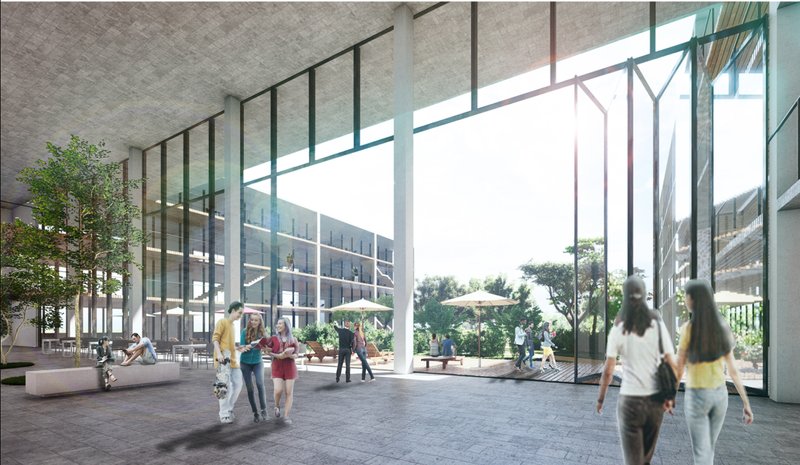 Double-height gathering spaces blur the boundaries between indoor and outdoor learning while strengthening social interaction within the campus.