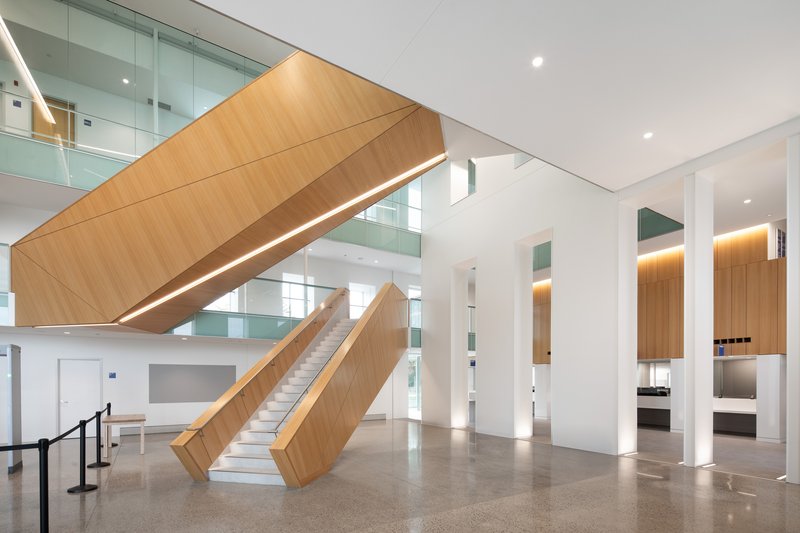 Intersecting wood-clad staircases with linear LED lighting crossing the white-walled atrium space