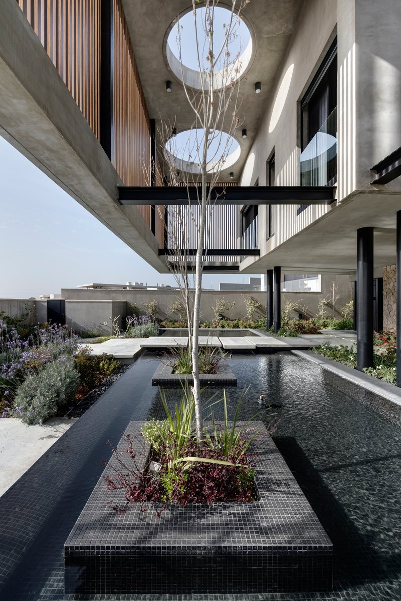 Central courtyard pool with tiled planting island and young tree beneath circular roof openings