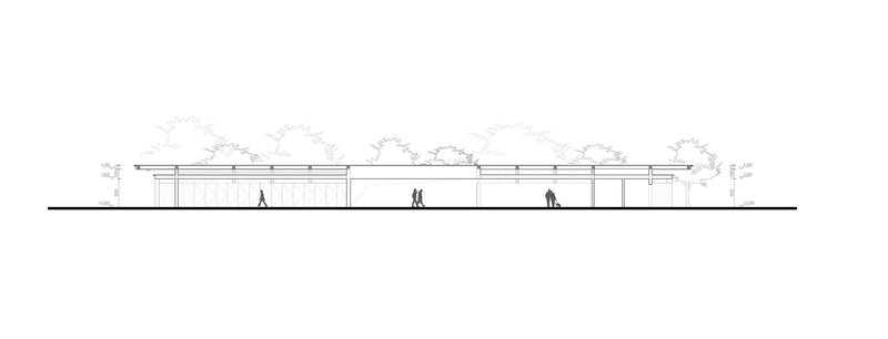 Elevation drawing showing a low linear pavilion with flat roof and columns beneath rows of trees