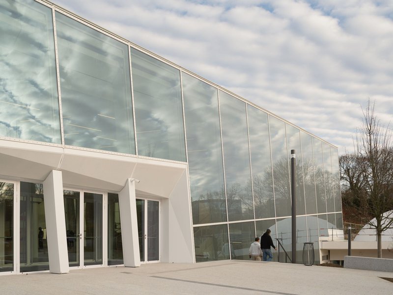 Tall glass curtain wall with vertical mullions reflecting clouds and bare trees