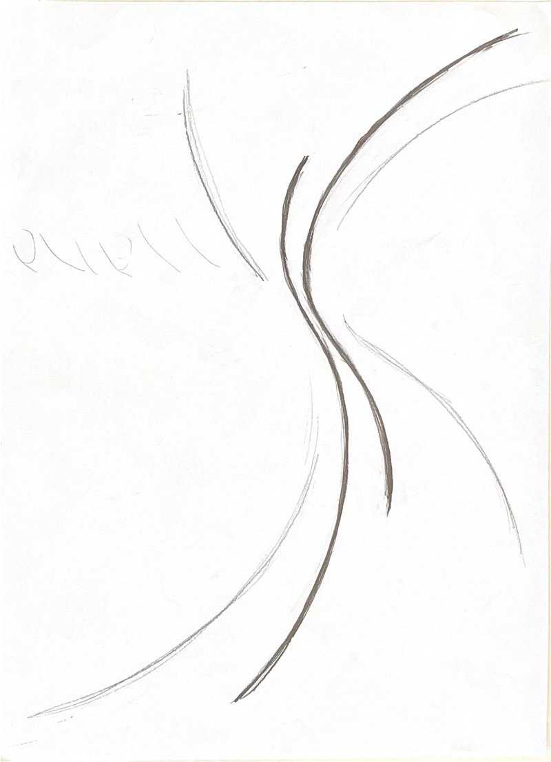 Line drawing exploring flowing curves and organic edge conditions in pencil