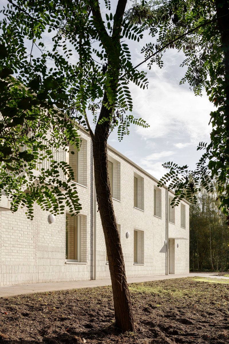 White brick side elevation with shuttered openings framed by a leaning tree trunk in dappled light
