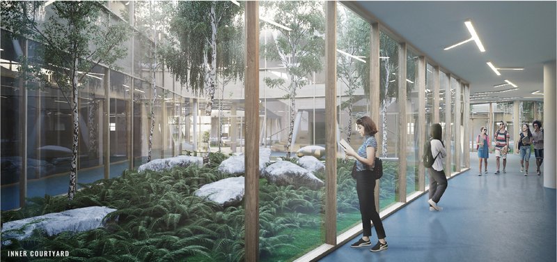 Biophilic interiors connect students with nature through courtyards, daylight, and immersive green spaces.