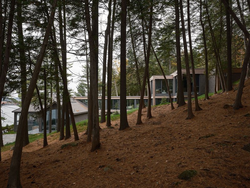 View through tall pine trees on a sloped site revealing the glass-walled residence and waterfront below