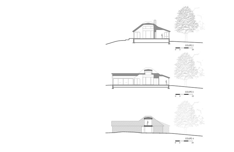 Section drawings showing the relationship between the barrel-vaulted existing structure and new addition with trees