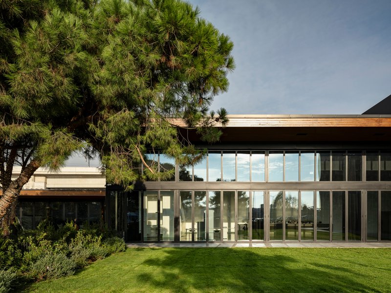 Garden view of the two-story glass facade framed by a mature pine tree