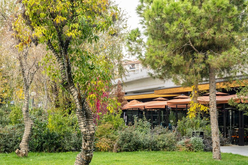 Distant view of the horizontal timber roof through palm trees and deciduous foliage in the planted garden