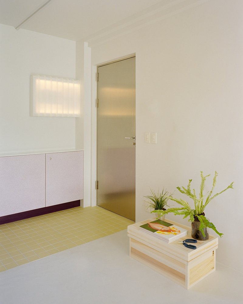 White room with translucent glass door, yellow tiled floor and low wooden planter with ferns