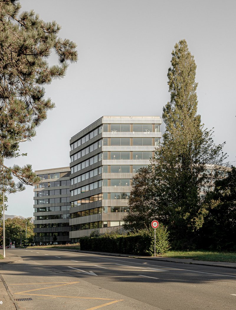 Street view of the louvered tower framed by a pine and poplar tree