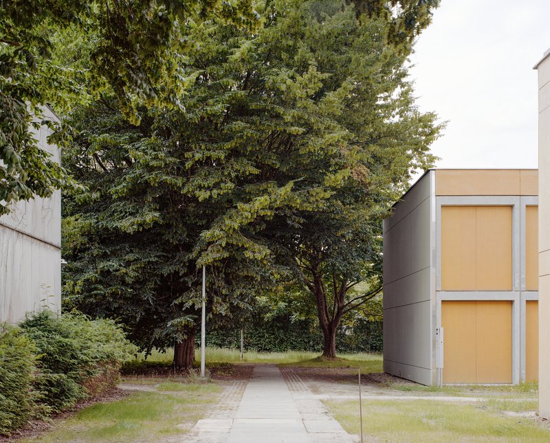 Courtyard pathway flanked by concrete buildings and tall deciduous trees under overcast skies
