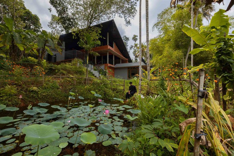 Terraced residence viewed from a lily pond surrounded by banana plants and tropical foliage
