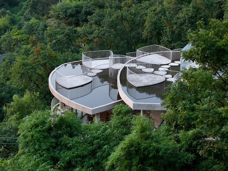 Elevated view of organic roof forms with vertical slat railings surrounded by dense forest canopy