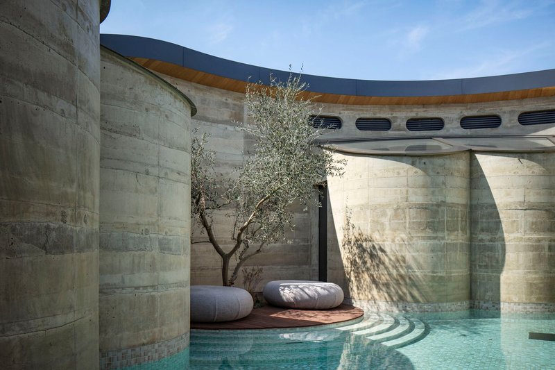 Curved swimming pool with mosaic tile pattern alongside a concrete courtyard with olive tree and cushioned seating