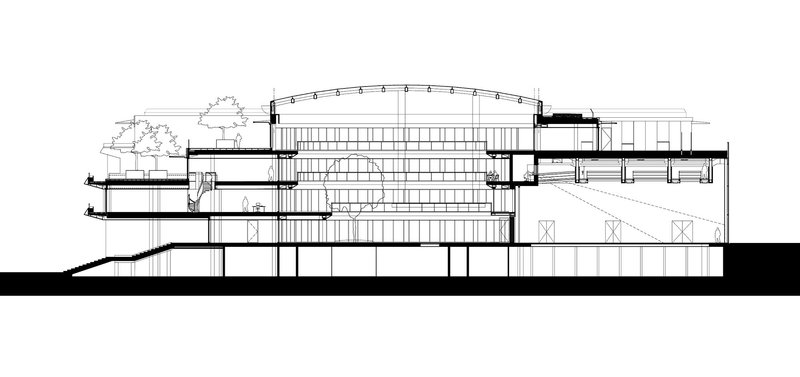 Section drawing showing terraced levels with planted roof terraces beneath a central arched skylight
