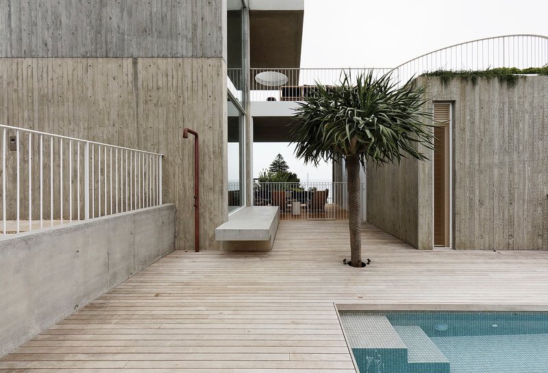 Roof terrace with timber decking, single palm tree and curved planted parapet wall
