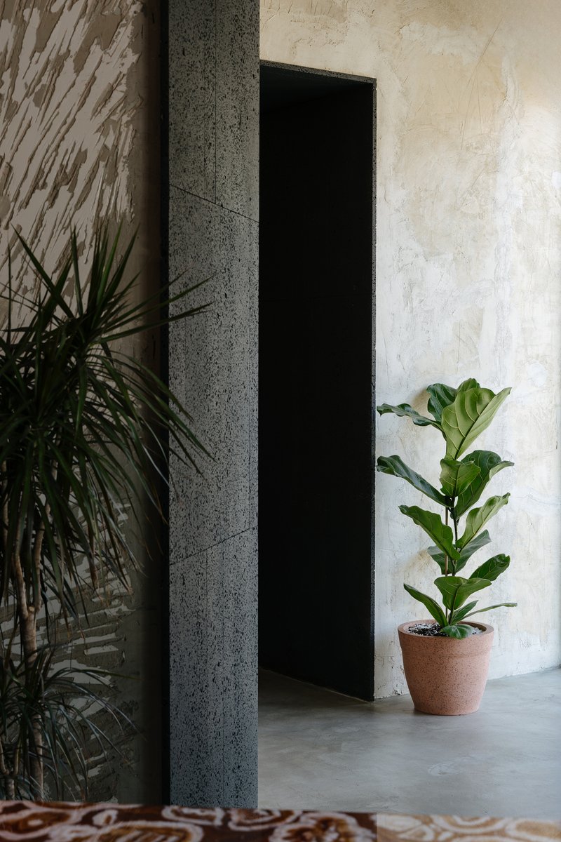 Black doorway framed by concrete column and weathered plaster wall with potted fiddle-leaf fig