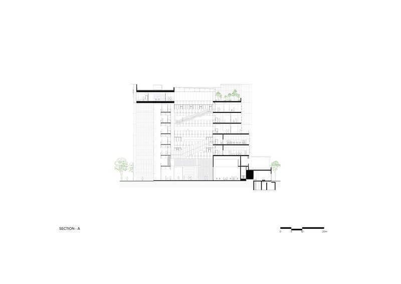 Section drawing showing a multi-story volume with staggered floors and rooftop planting