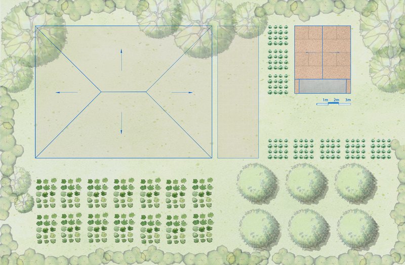 Site plan drawing showing a rectangular building with diagonal roof lines surrounded by orchards and circular tree clusters