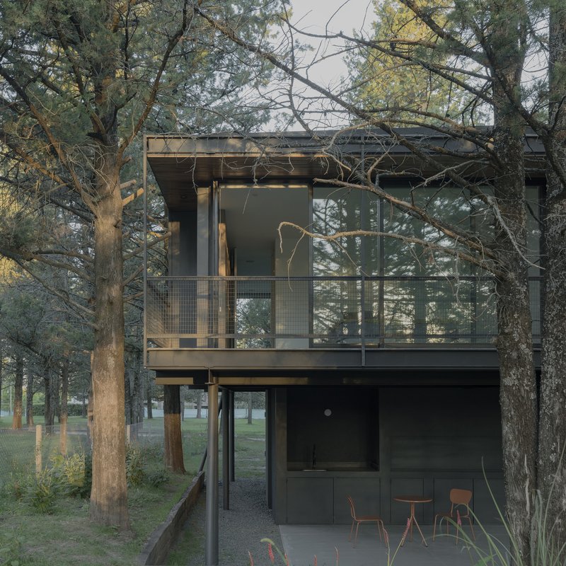 Two-story timber and steel volume on pilotis nestled among pine trees in afternoon light