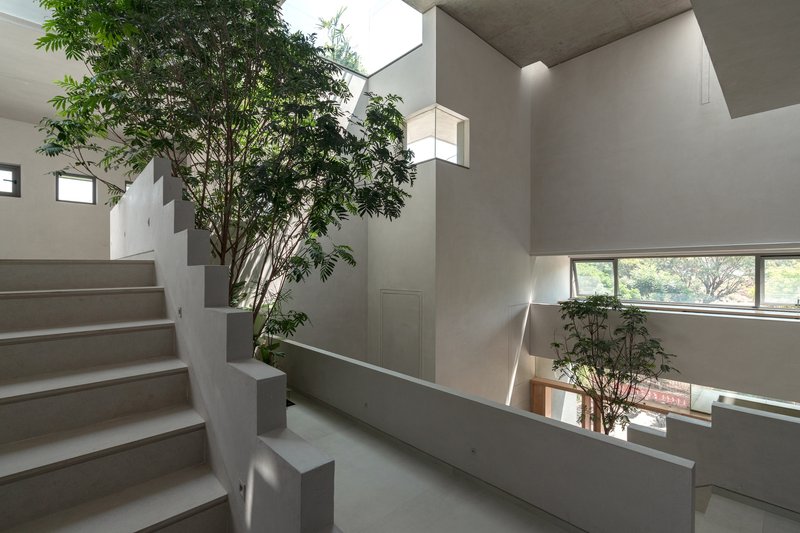 Interior stairwell with white concrete steps wrapping around a central planted tree