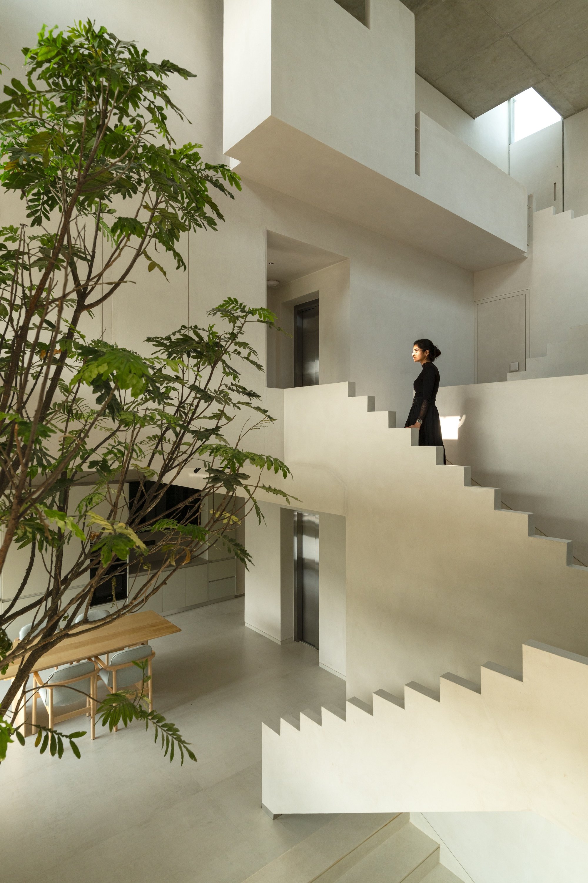 A Threshold Turns a Bangalore Plot into a Vertical Stepwell Where Stairs Become Gardens