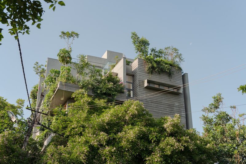 Stacked concrete volumes with planted rooftop terraces rising above dense foliage and power lines