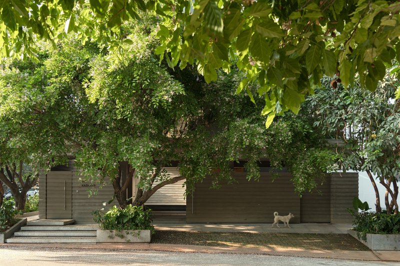 Entry courtyard with concrete walls, planted beds and mature trees casting dappled sunlight across the pavement