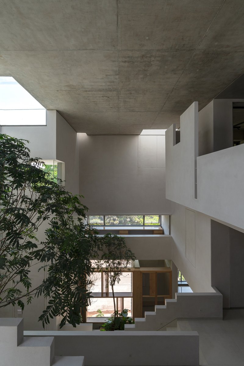 Triple-height atrium with board-formed concrete ceiling, white plaster walls and an interior tree beside cantilevered stairs