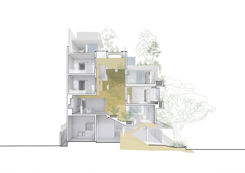 Section drawing highlighting a central circulation spine connecting rooms across offset floor levels with outdoor terraces