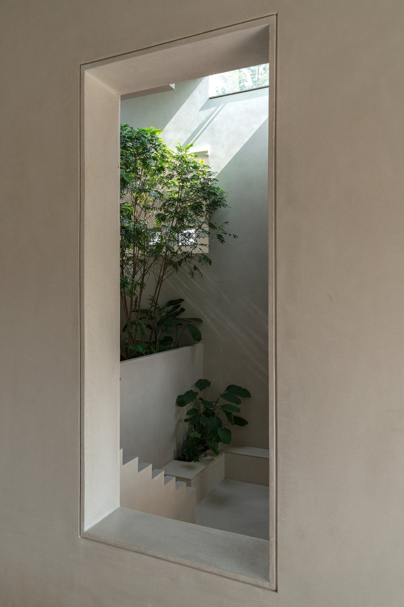 Tall window framing an internal courtyard with planted trees and stepped concrete planter beds