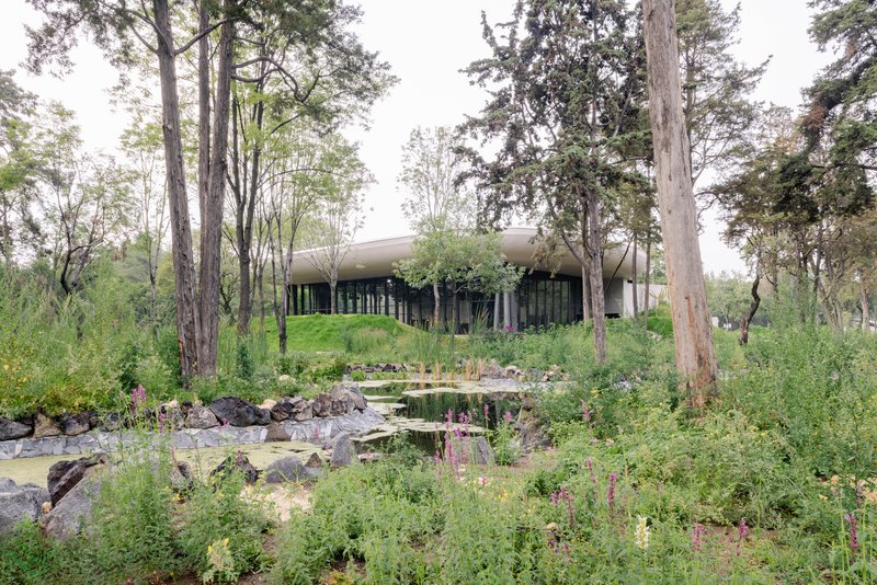 Glass-walled structure on a planted berm overlooking a natural pond with rocks and wildflowers