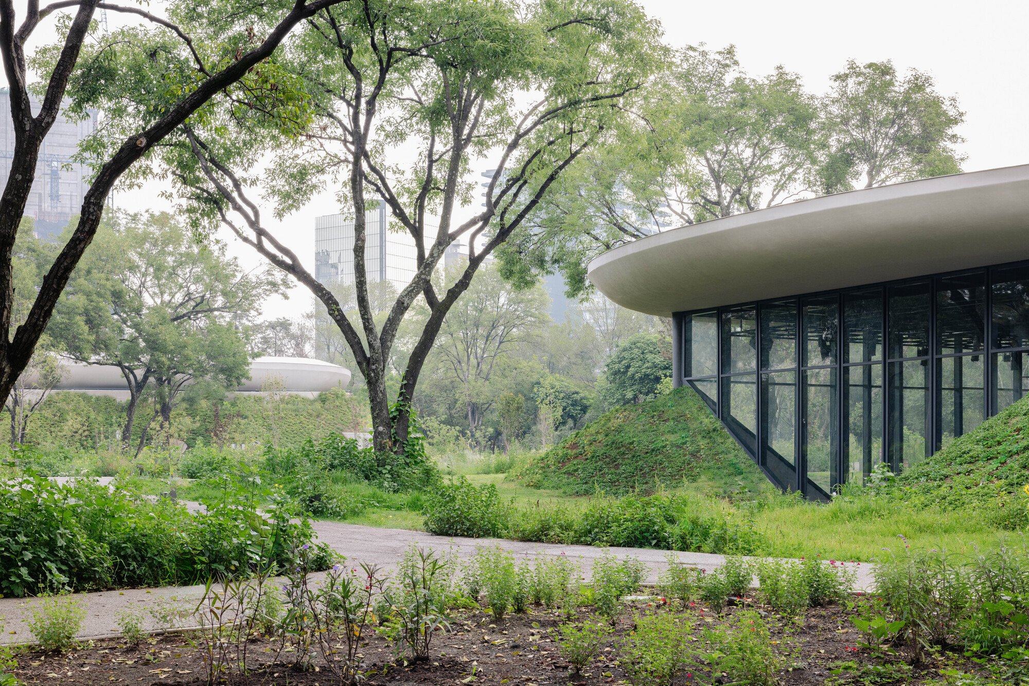Michan Architecture and PARABASE Scatter Three Pavilions Beneath the Canopy of Chapultepec Forest