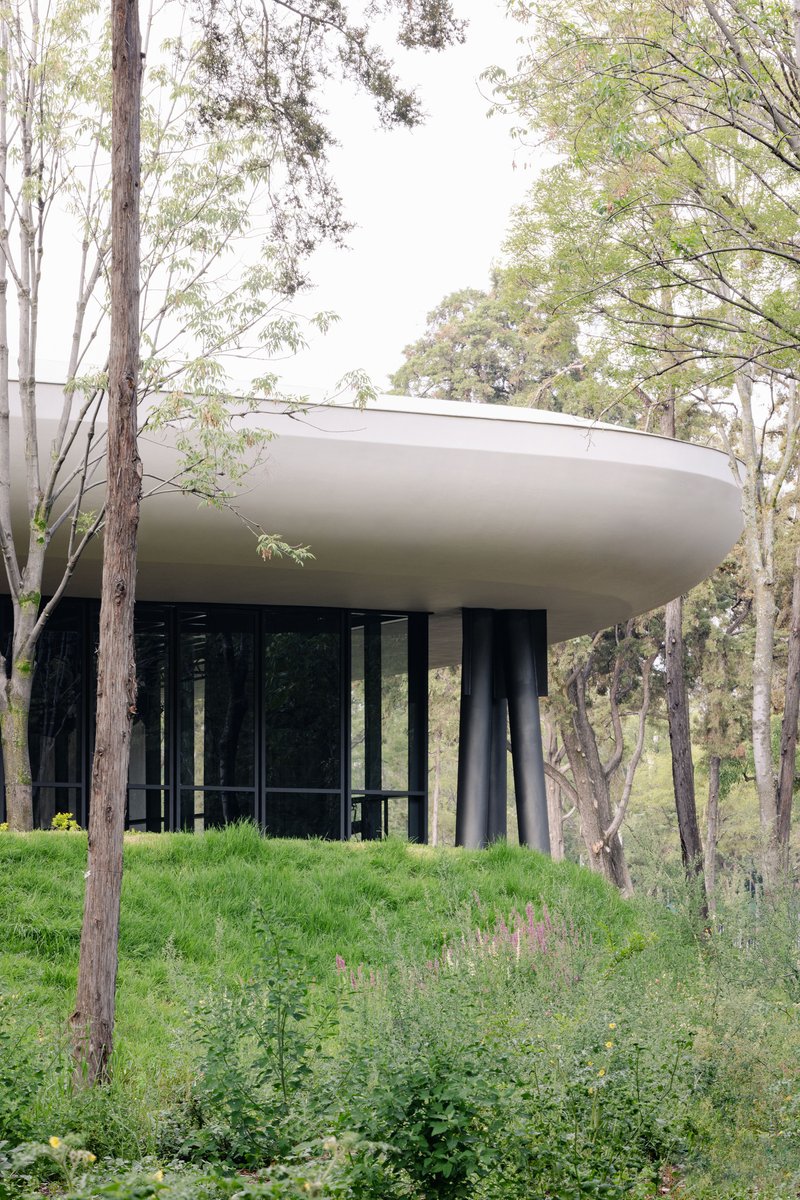 Elevated pavilion on cylindrical black columns surrounded by grassy slope and native trees