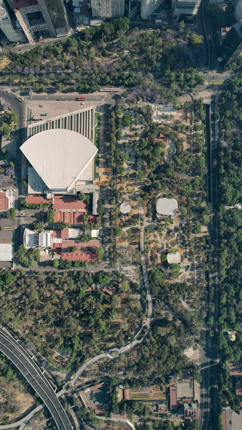Top-down view of the shell-shaped roof and secondary pavilions scattered across the wooded grounds