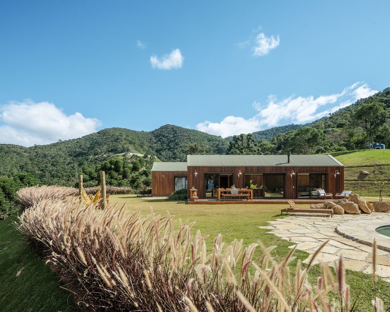Timber-clad facade with metal roof opening onto lawn terrace with ornamental grasses in foreground