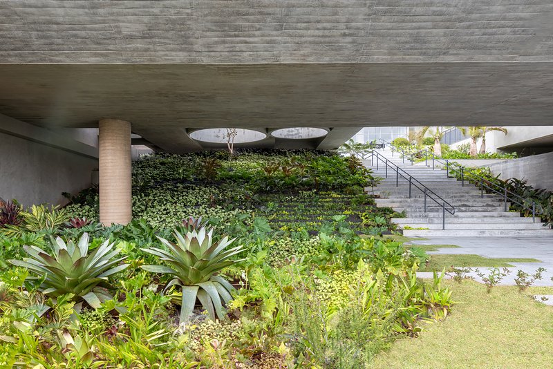 Planted courtyard beneath a cantilevered concrete slab with circular roof openings and cylindrical columns
