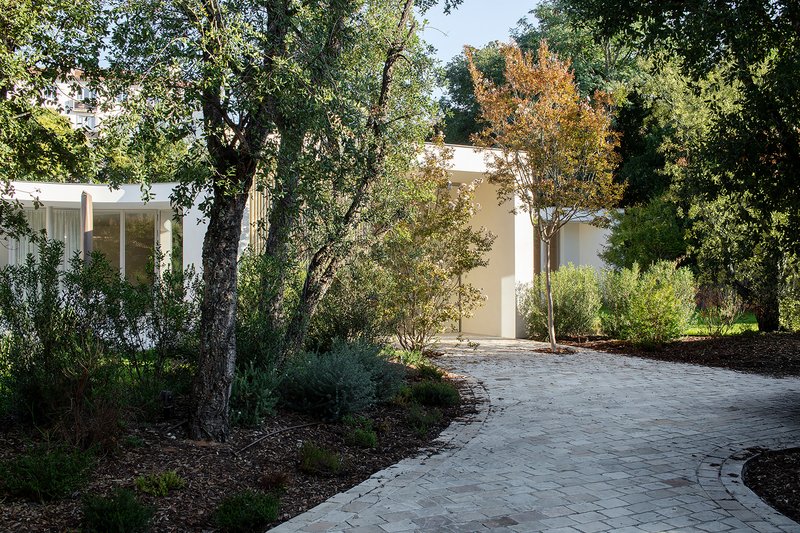 Brick paver driveway curving through native trees toward the white stucco entrance volume