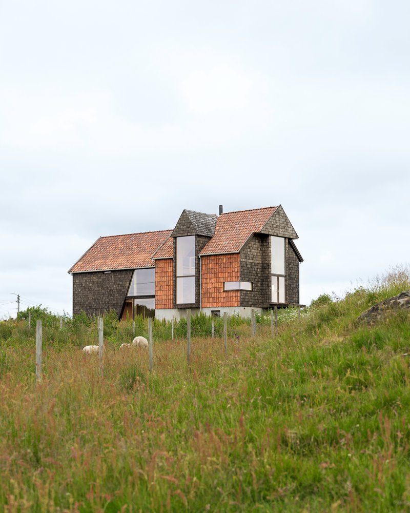 Cluster of gabled volumes clad in weathered shingles and timber with sheep grazing below