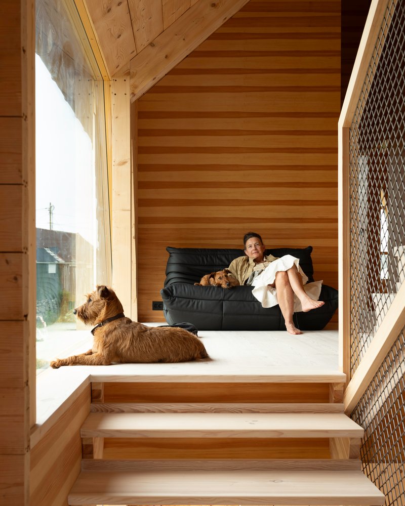 Raised platform seating area with timber steps and a dog resting in afternoon sunlight