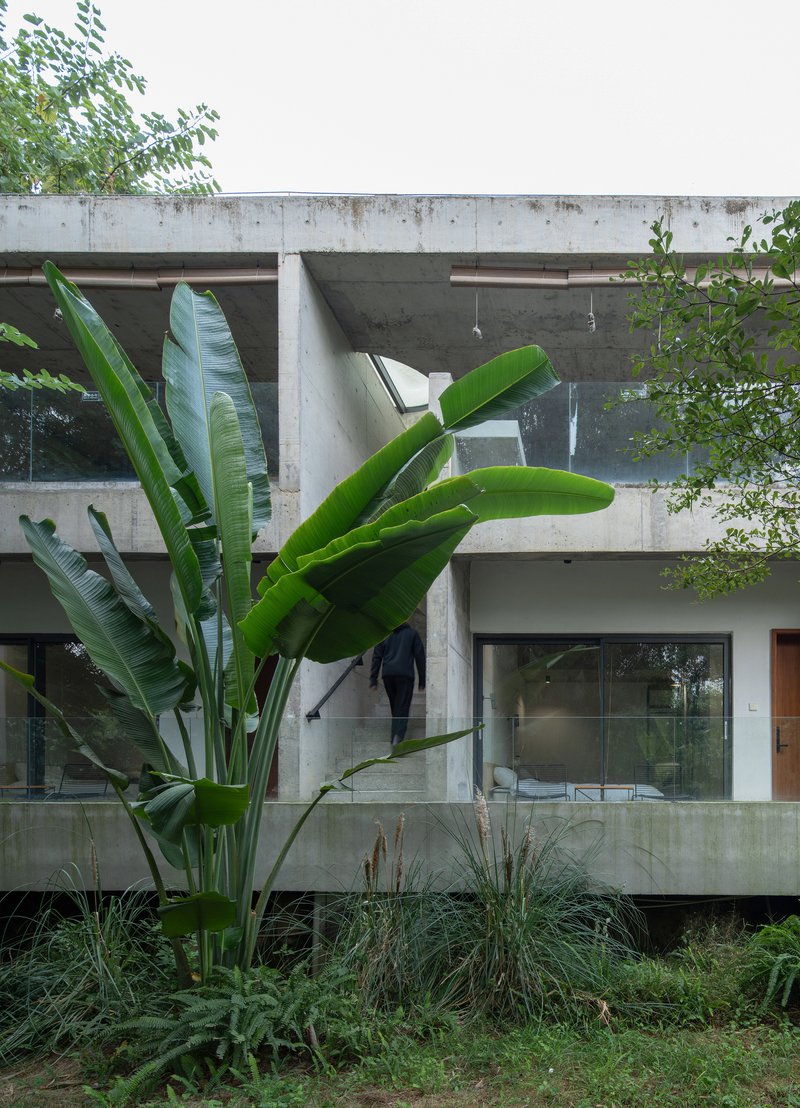 Board-formed concrete facade with ribbon windows and balconies surrounded by banana plants and low grasses