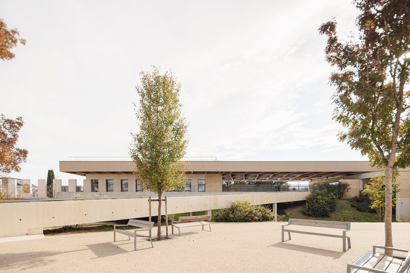 Courtyard plaza with metal benches and young trees beneath the elevated building volume