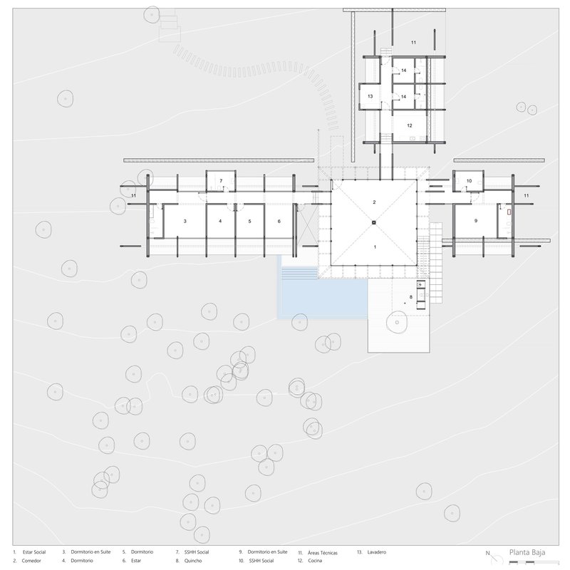 Ground floor plan showing linear wings radiating from central glazed pavilion with pool and scattered trees