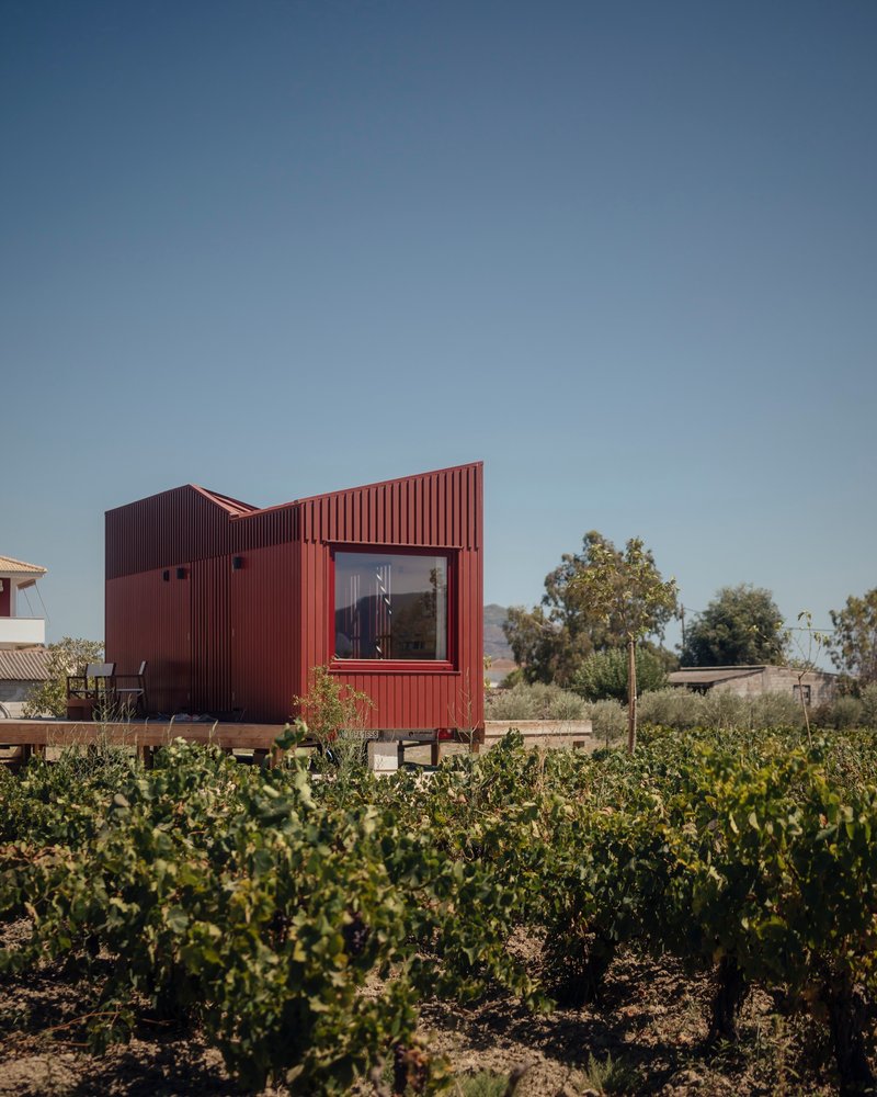 Angled facade with large window framed by red metal cladding rising above rows of grapevines