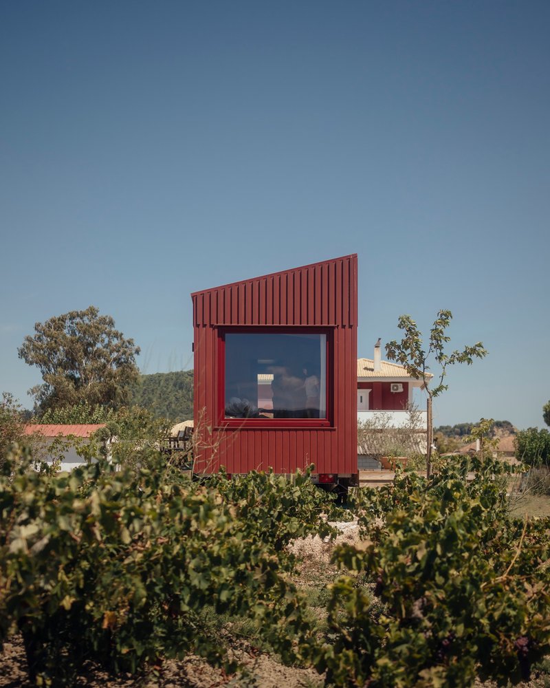Front elevation showing vertical corrugated cladding and a single square window framed by grapevines