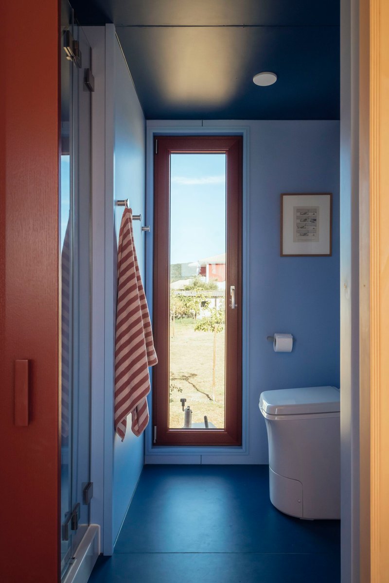 Narrow bathroom with blue walls, dark ceiling, and tall glazed door framing a landscape view