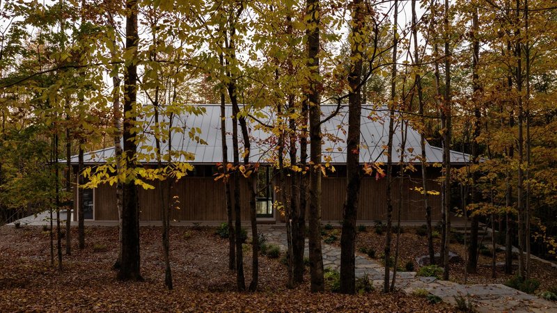 Timber-clad volume partially screened by deciduous trees in autumn foliage